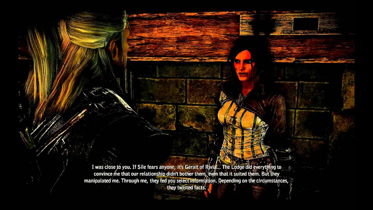 the witcher cheats for pc